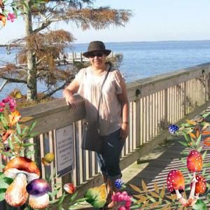 Meet your Posher, Dee